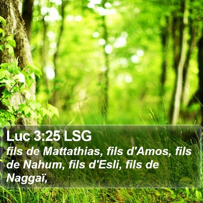 Luc 3:25 LSG Bible Verse Image