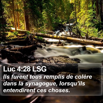 Luc 4:28 LSG Bible Verse Image