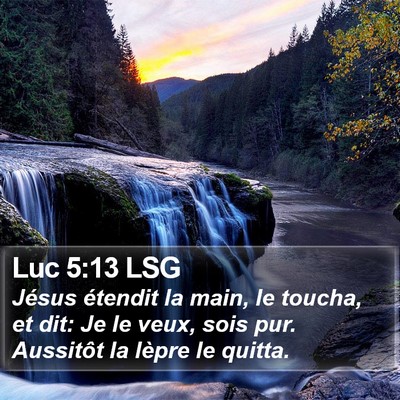 Luc 5:13 LSG Bible Verse Image