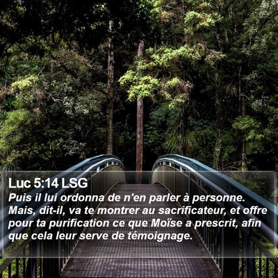 Luc 5:14 LSG Bible Verse Image