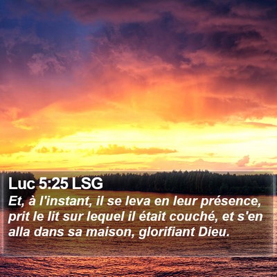 Luc 5:25 LSG Bible Verse Image