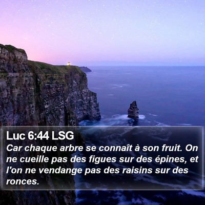 Luc 6:44 LSG Bible Verse Image