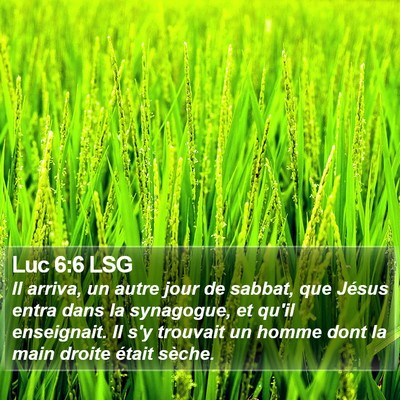 Luc 6:6 LSG Bible Verse Image