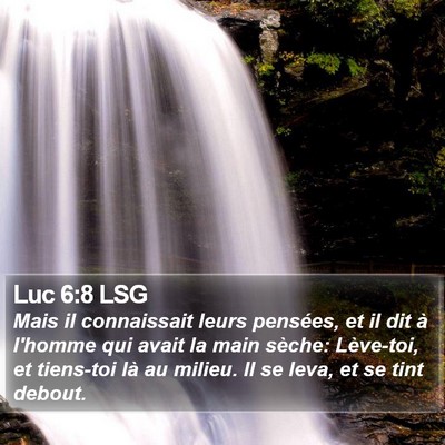 Luc 6:8 LSG Bible Verse Image