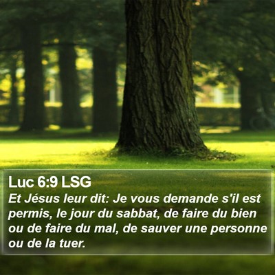 Luc 6:9 LSG Bible Verse Image