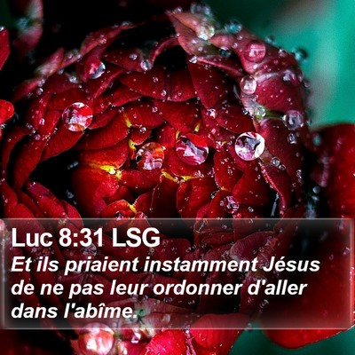 Luc 8:31 LSG Bible Verse Image