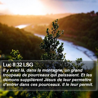 Luc 8:32 LSG Bible Verse Image