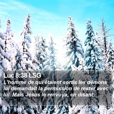 Luc 8:38 LSG Bible Verse Image