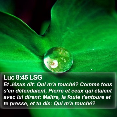 Luc 8:45 LSG Bible Verse Image