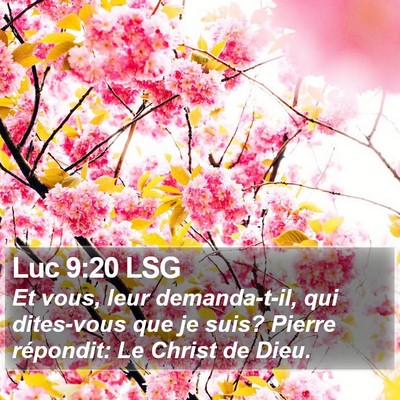 Luc 9:20 LSG Bible Verse Image