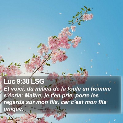 Luc 9:38 LSG Bible Verse Image
