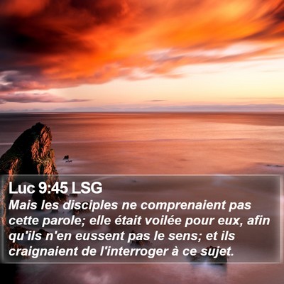 Luc 9:45 LSG Bible Verse Image