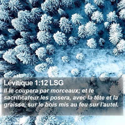 Lévitique 1:12 LSG Bible Verse Image