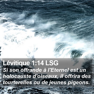 Lévitique 1:14 LSG Bible Verse Image