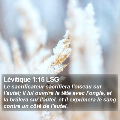 Lévitique 1:15 LSG Bible Verse Image