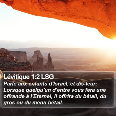 Lévitique 1:2 LSG Bible Verse Image