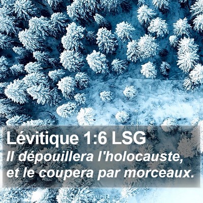 Lévitique 1:6 LSG Bible Verse Image