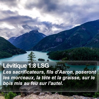 Lévitique 1:8 LSG Bible Verse Image