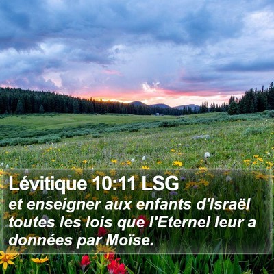 Lévitique 10:11 LSG Bible Verse Image