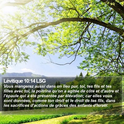 Lévitique 10:14 LSG Bible Verse Image