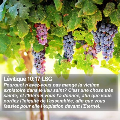 Lévitique 10:17 LSG Bible Verse Image