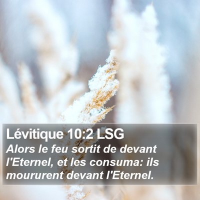 Lévitique 10:2 LSG Bible Verse Image