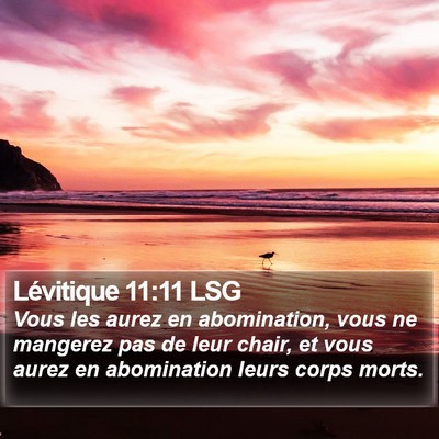 Lévitique 11:11 LSG Bible Verse Image