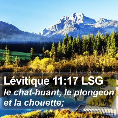 Lévitique 11:17 LSG Bible Verse Image
