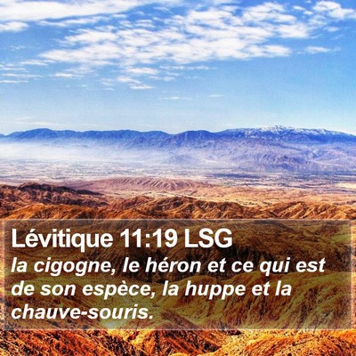 Lévitique 11:19 LSG Bible Verse Image