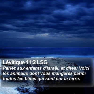 Lévitique 11:2 LSG Bible Verse Image