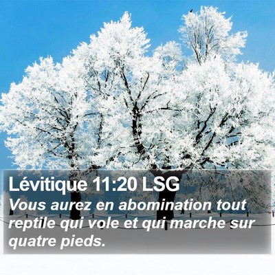 Lévitique 11:20 LSG Bible Verse Image