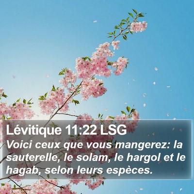 Lévitique 11:22 LSG Bible Verse Image