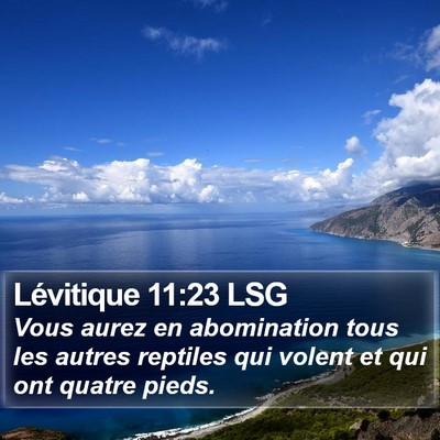 Lévitique 11:23 LSG Bible Verse Image