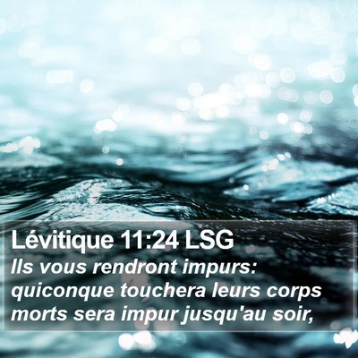 Lévitique 11:24 LSG Bible Verse Image
