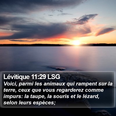 Lévitique 11:29 LSG Bible Verse Image
