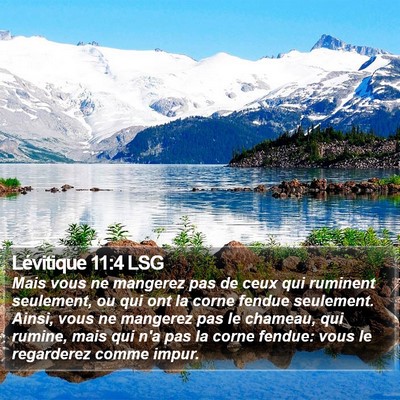 Lévitique 11:4 LSG Bible Verse Image