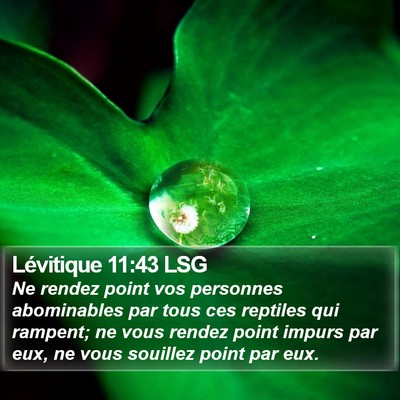 Lévitique 11:43 LSG Bible Verse Image