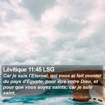 Lévitique 11:45 LSG Bible Verse Image