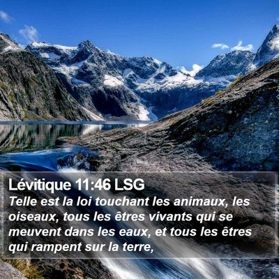Lévitique 11:46 LSG Bible Verse Image