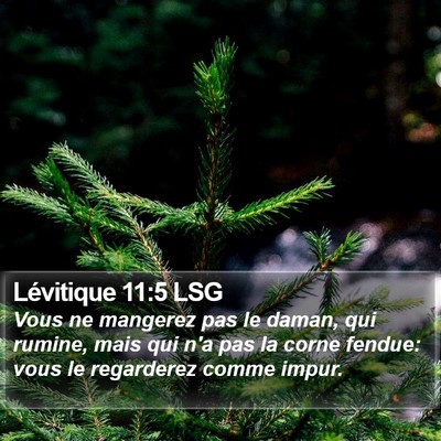 Lévitique 11:5 LSG Bible Verse Image