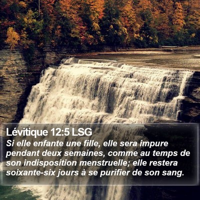 Lévitique 12:5 LSG Bible Verse Image