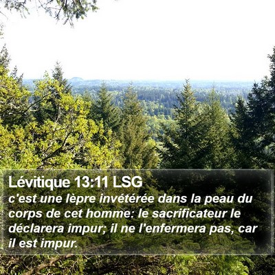 Lévitique 13:11 LSG Bible Verse Image