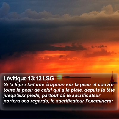 Lévitique 13:12 LSG Bible Verse Image