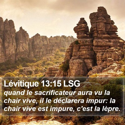 Lévitique 13:15 LSG Bible Verse Image