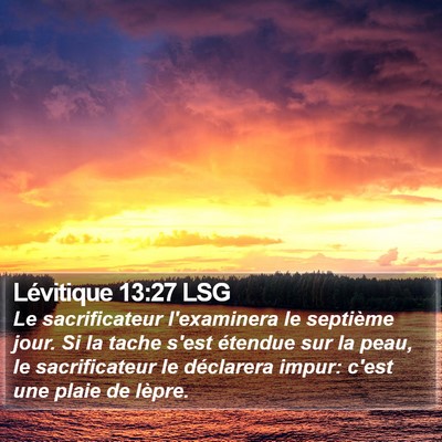 Lévitique 13:27 LSG Bible Verse Image