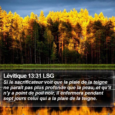 Lévitique 13:31 LSG Bible Verse Image