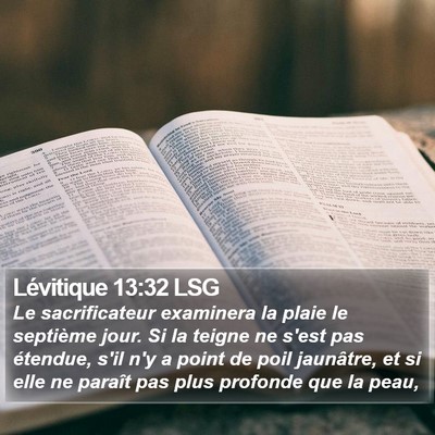 Lévitique 13:32 LSG Bible Verse Image