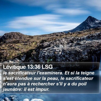 Lévitique 13:36 LSG Bible Verse Image