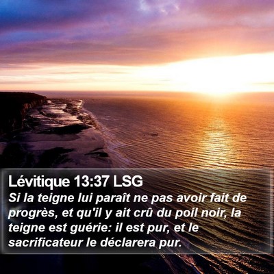 Lévitique 13:37 LSG Bible Verse Image