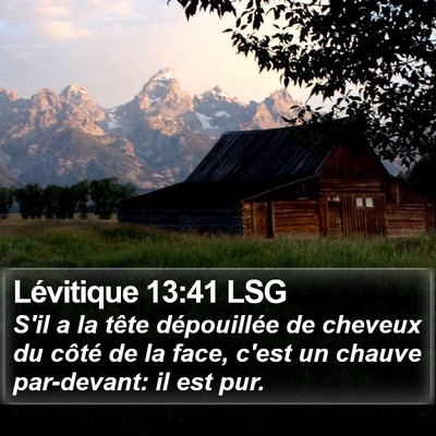 Lévitique 13:41 LSG Bible Verse Image